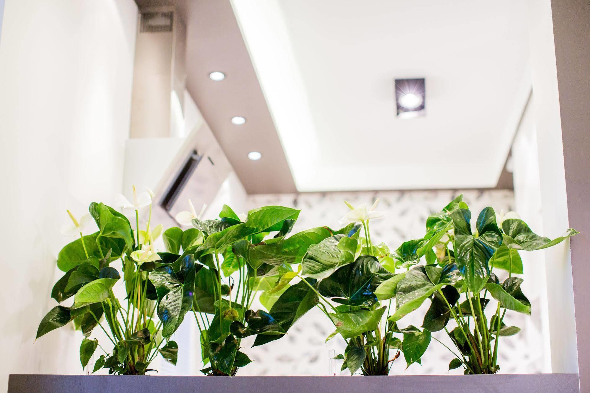 Mojito Apartments - Botanica Wrocław Extérieur photo